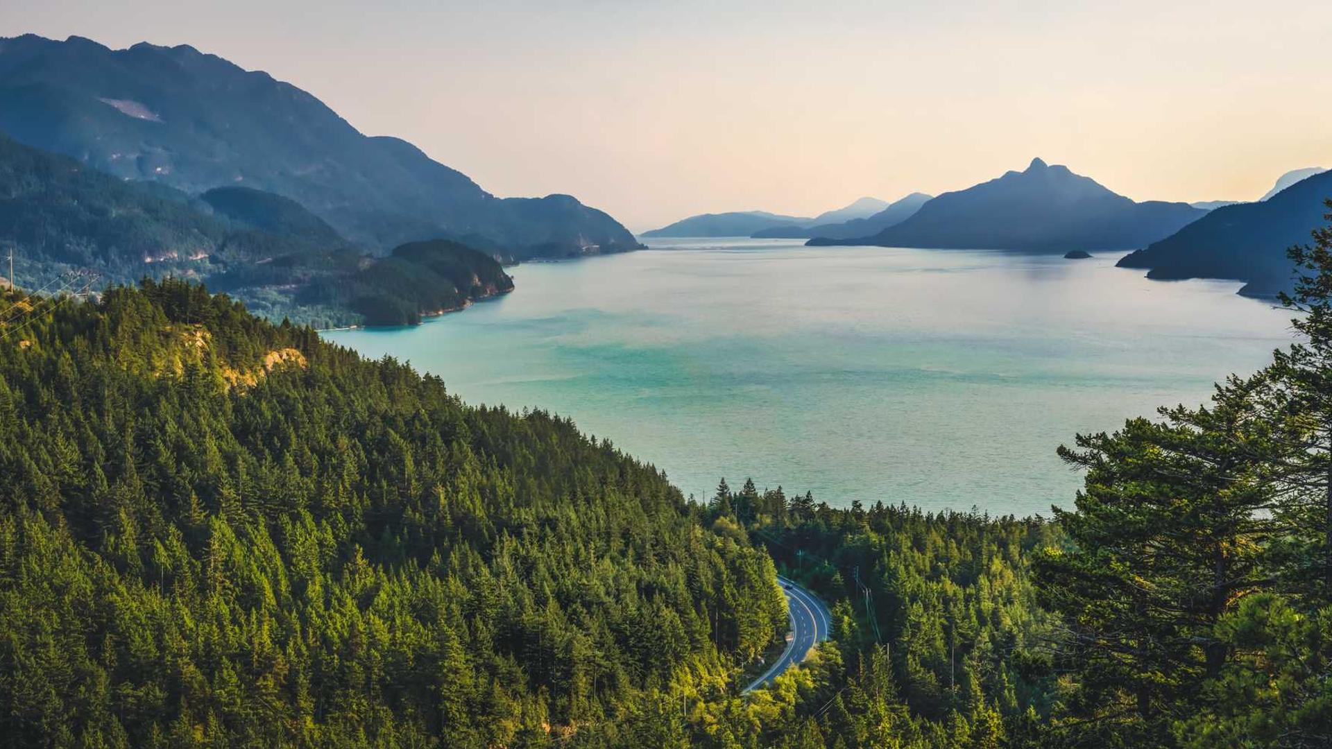 Random image from Lorem Picsum