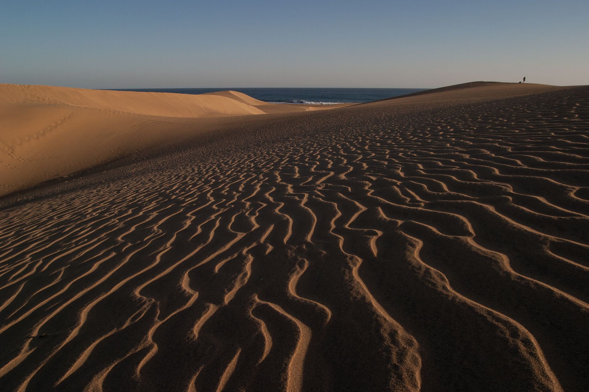 Scenic view of vast sand dunes leading to a tranquil sea under a clear sky.
