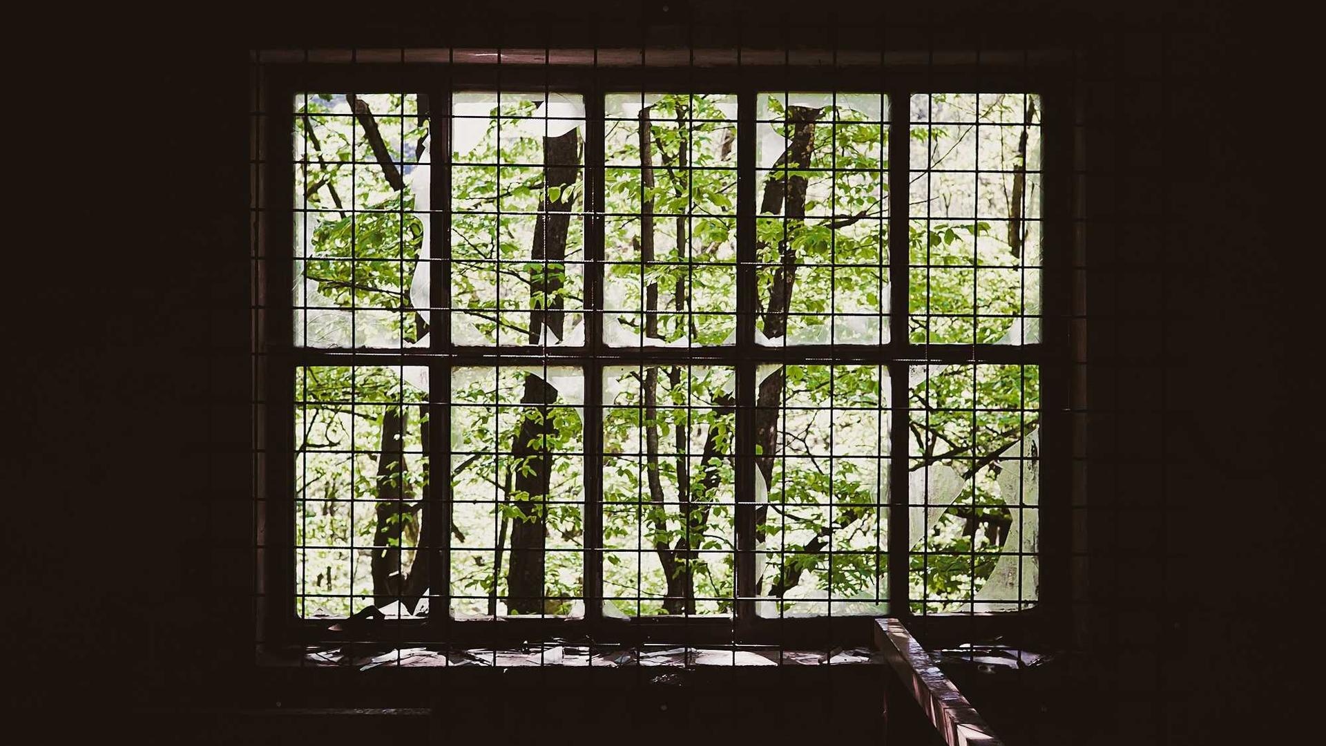 Random image from Lorem Picsum