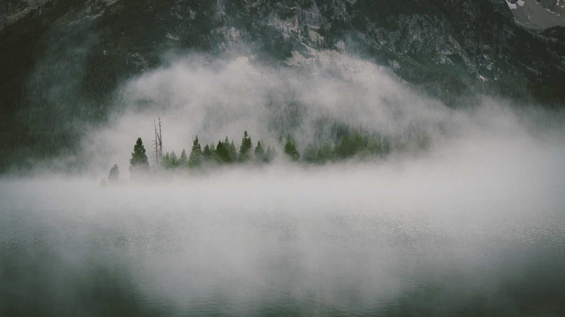 Random image from Lorem Picsum