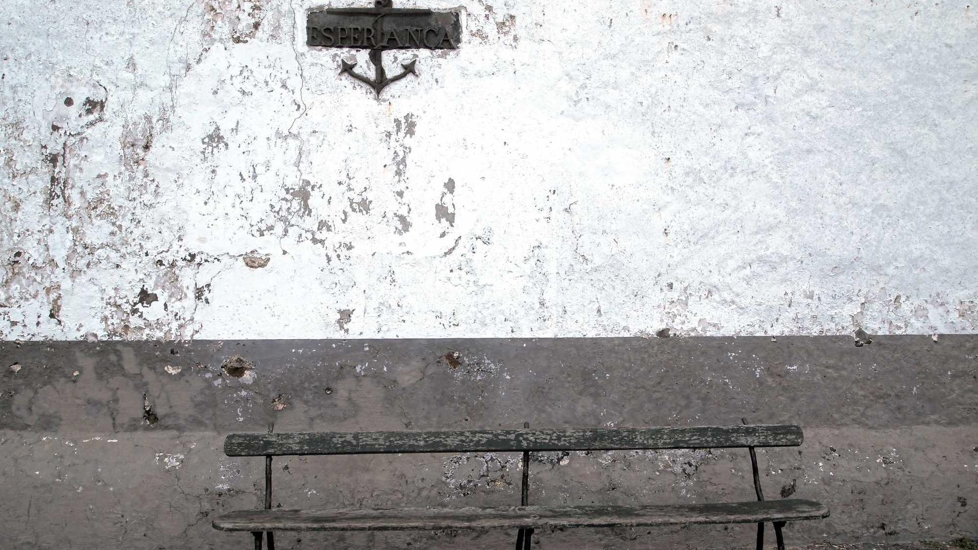 Random image from Lorem Picsum