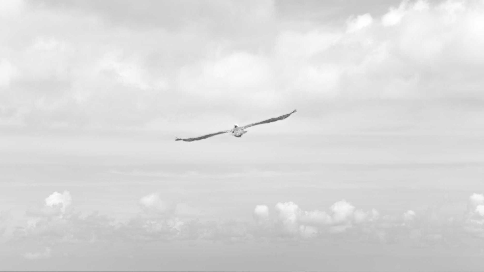 Random image from Lorem Picsum