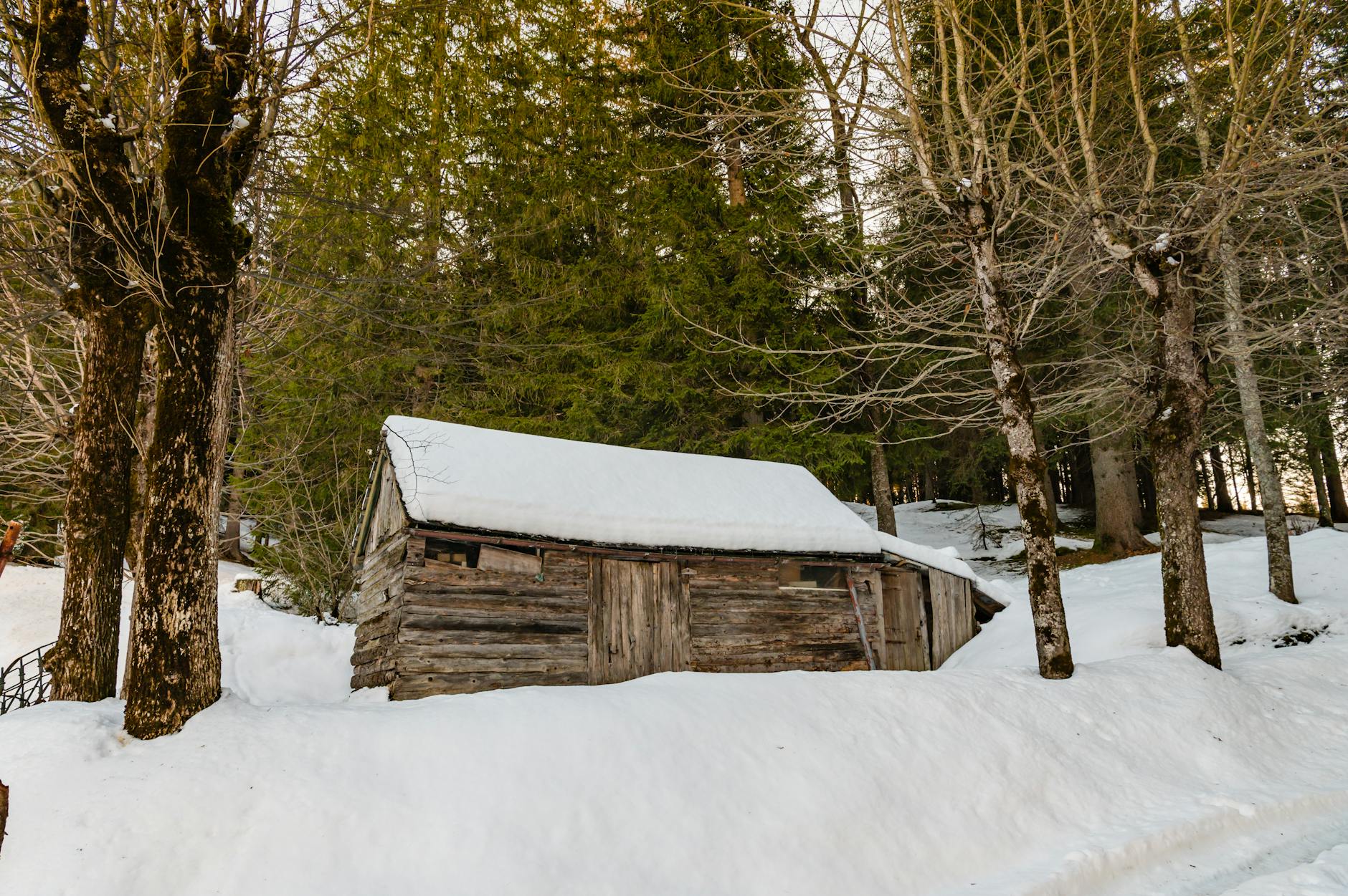Rustic wooden cabin surrounded by snow in Cortina d'Ampezzo, Italy.