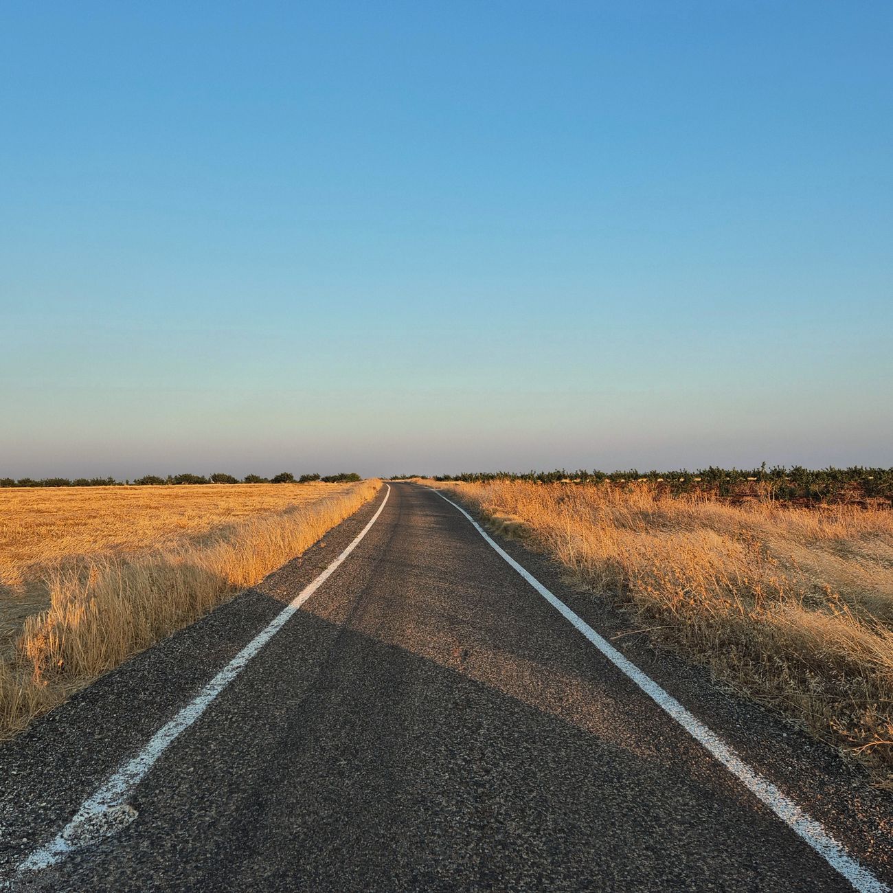 A long, empty country road stretching into the horizon amid golden fields at sunset.