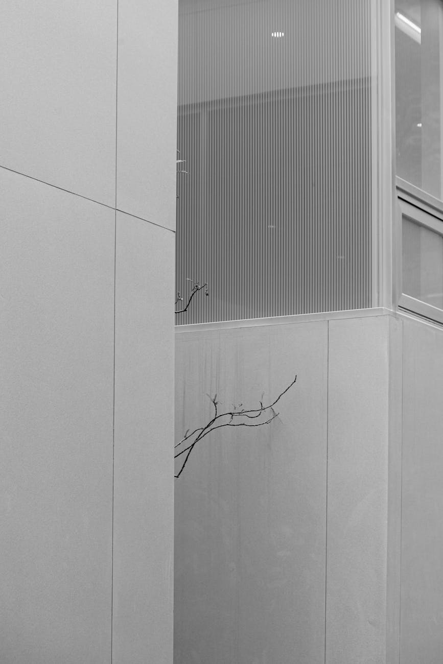 Modern gray building facade featuring a single branch in a minimalist design.