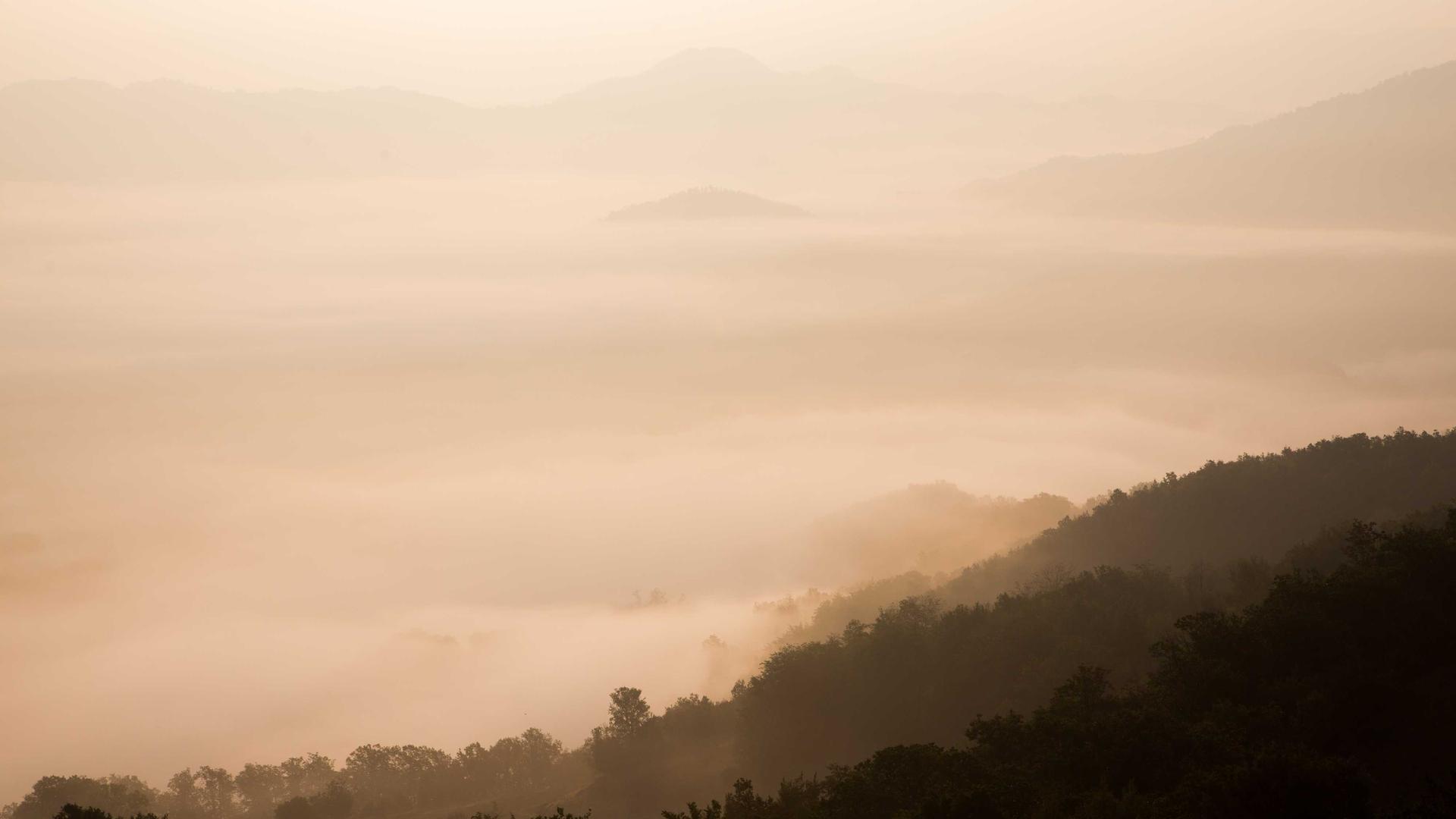 Random image from Lorem Picsum