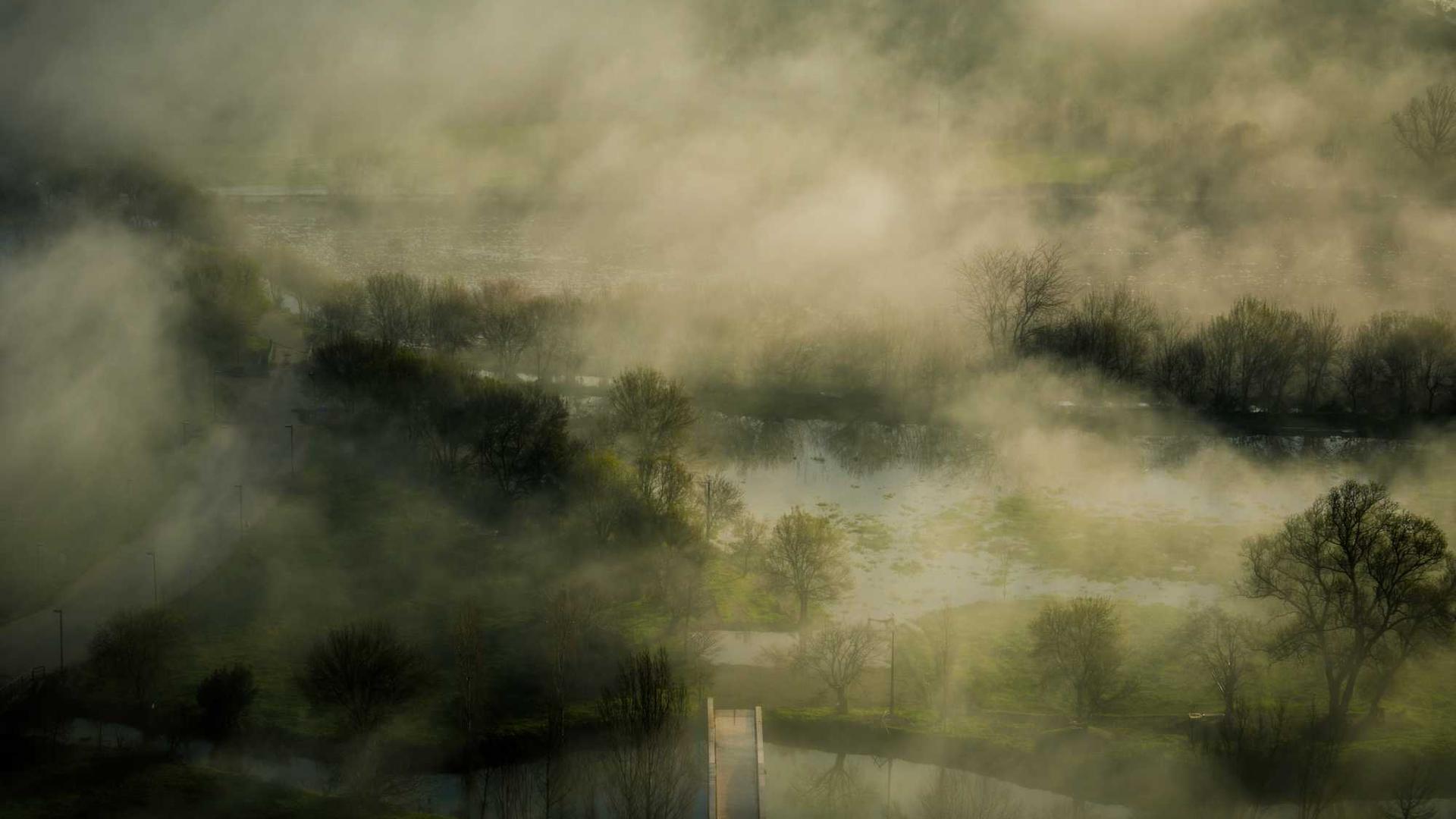 Random image from Lorem Picsum