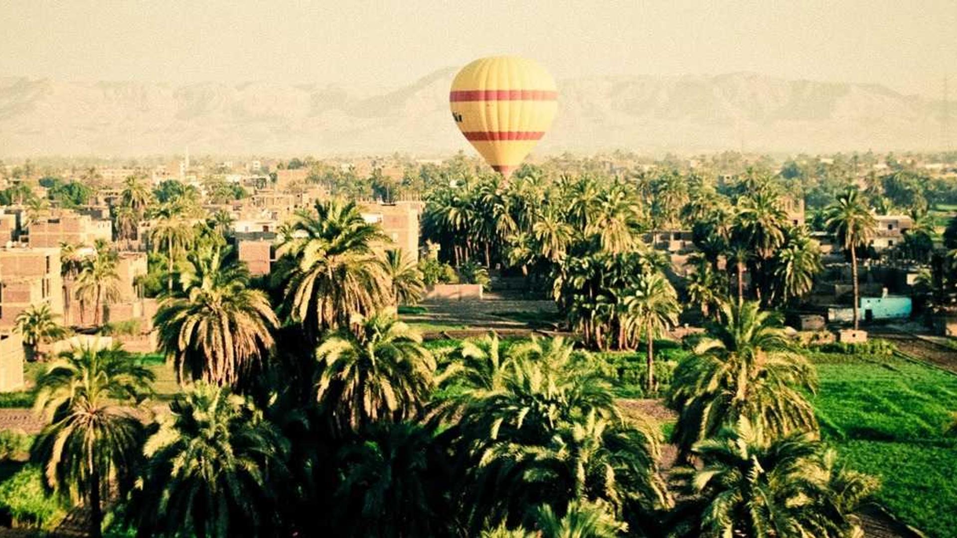 Random image from Lorem Picsum