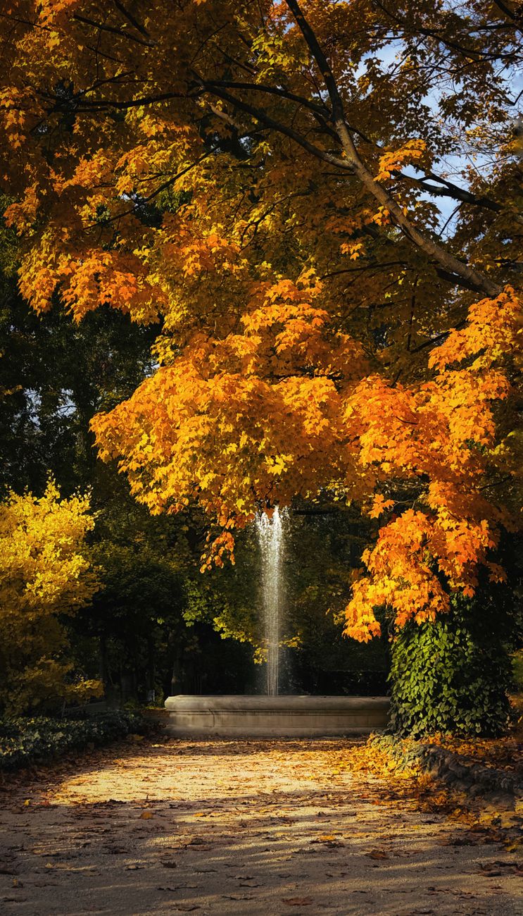 Vibrant autumn scene with a golden tree and fountain in a serene park setting.