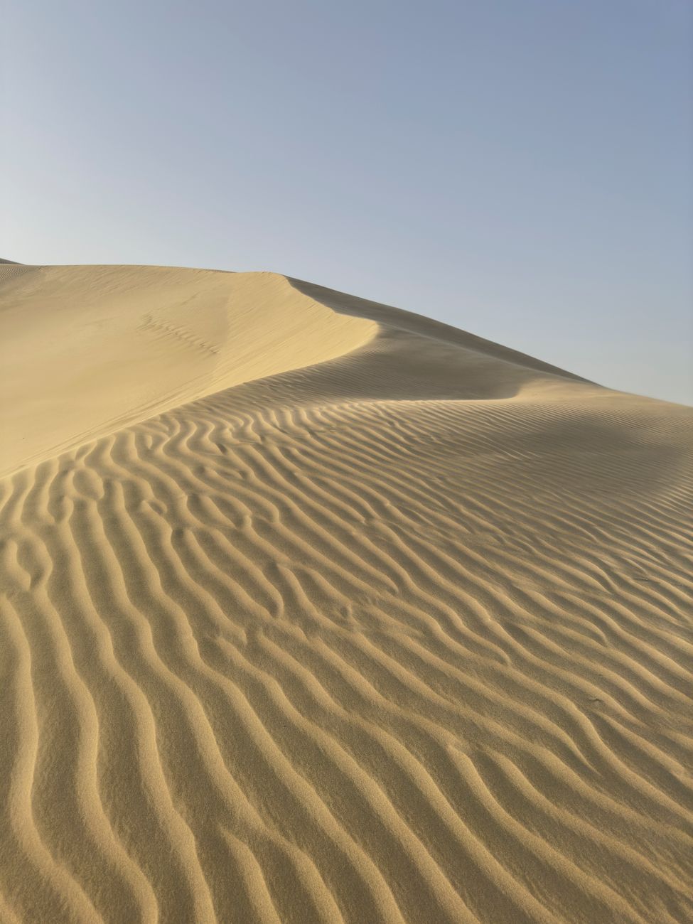 Peaceful desert scene with wavy sand patterns under a clear sky.