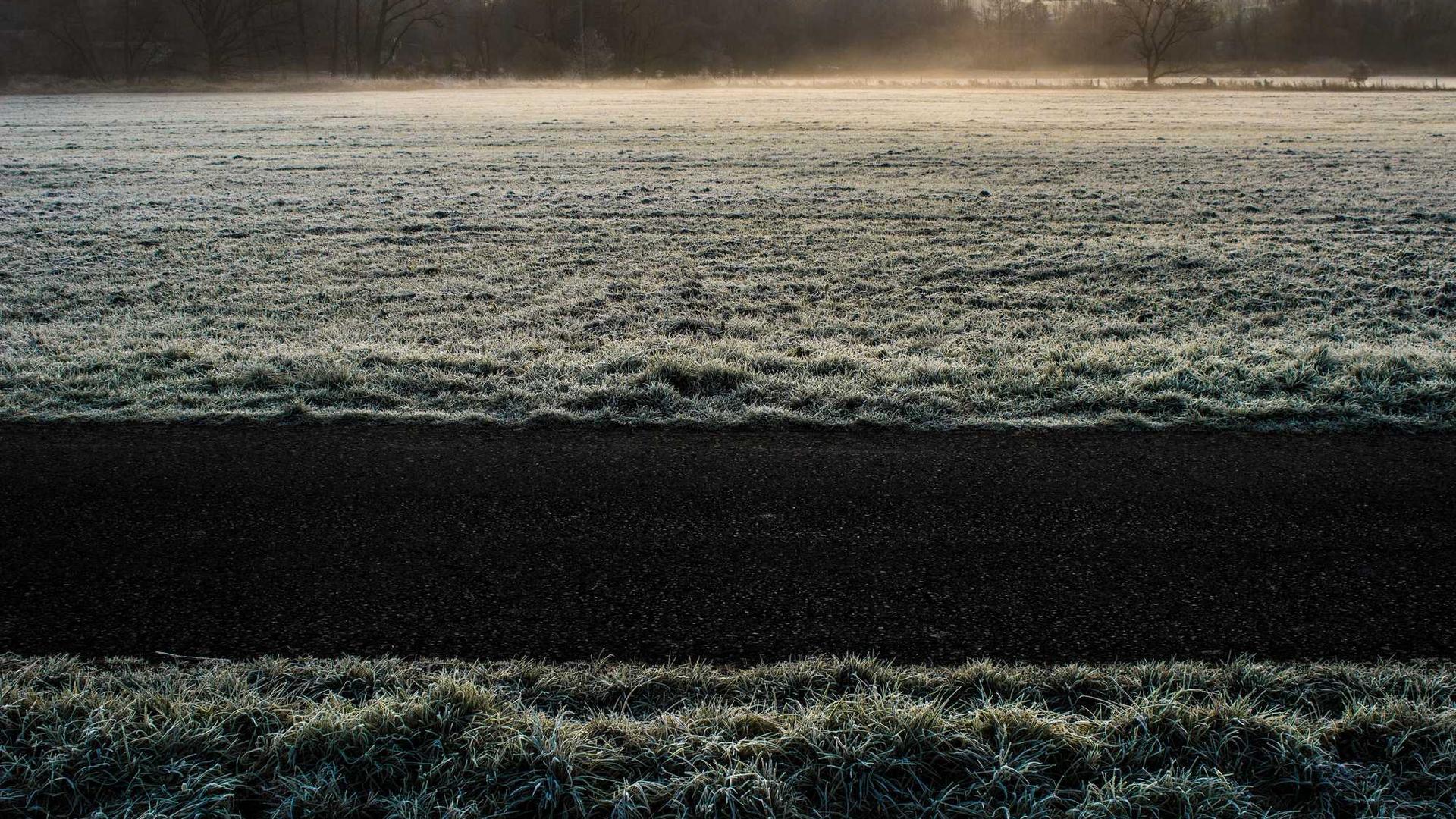 Random image from Lorem Picsum