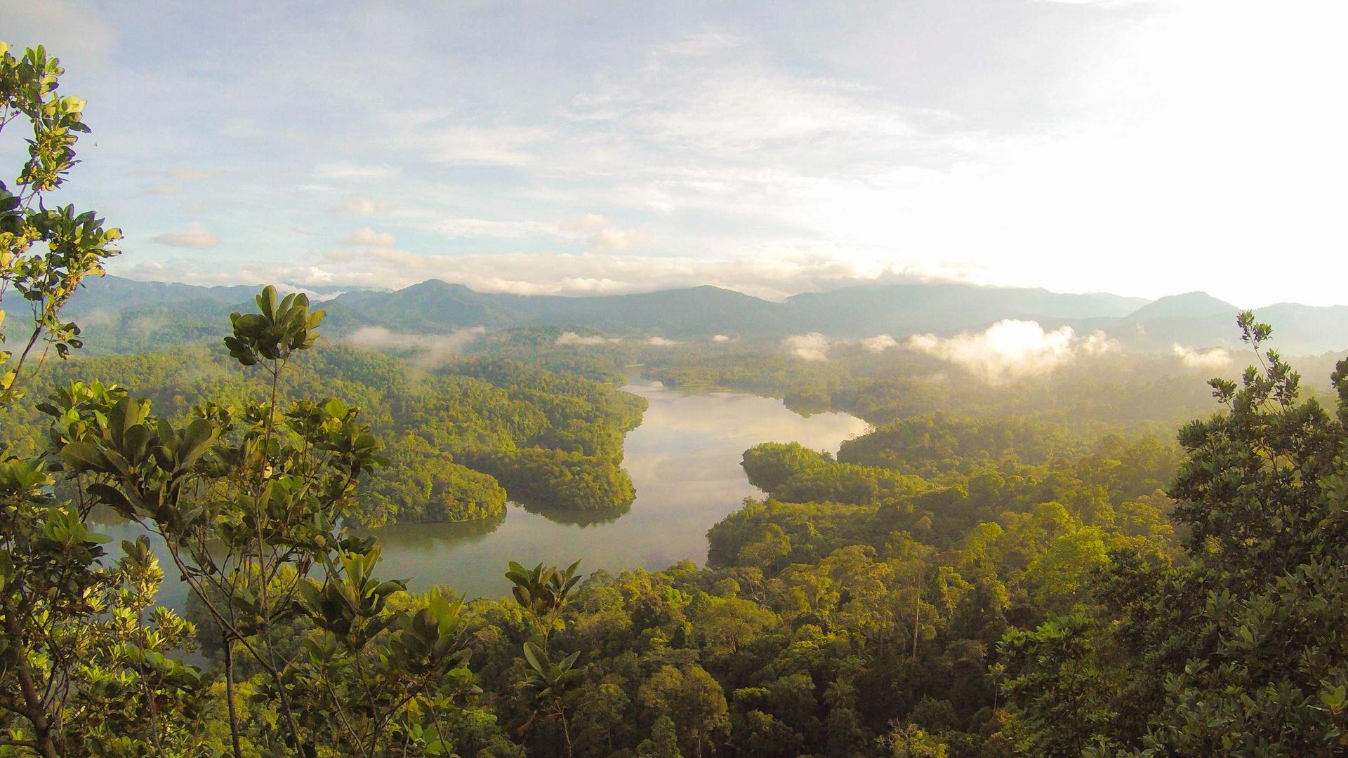 Random image from Lorem Picsum