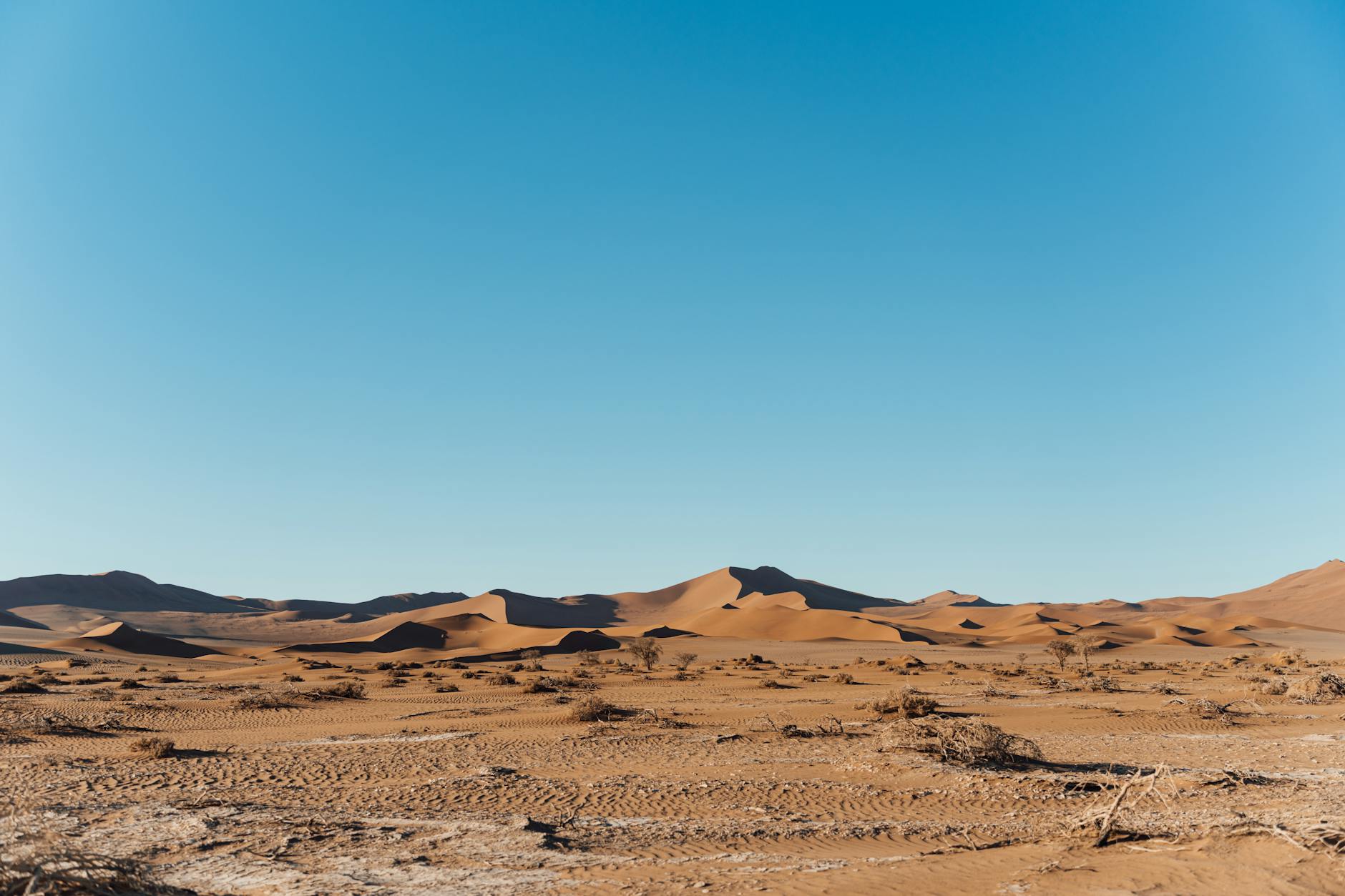 Explore the expansive sand dunes under a clear blue sky in Namibia's Namib Desert.