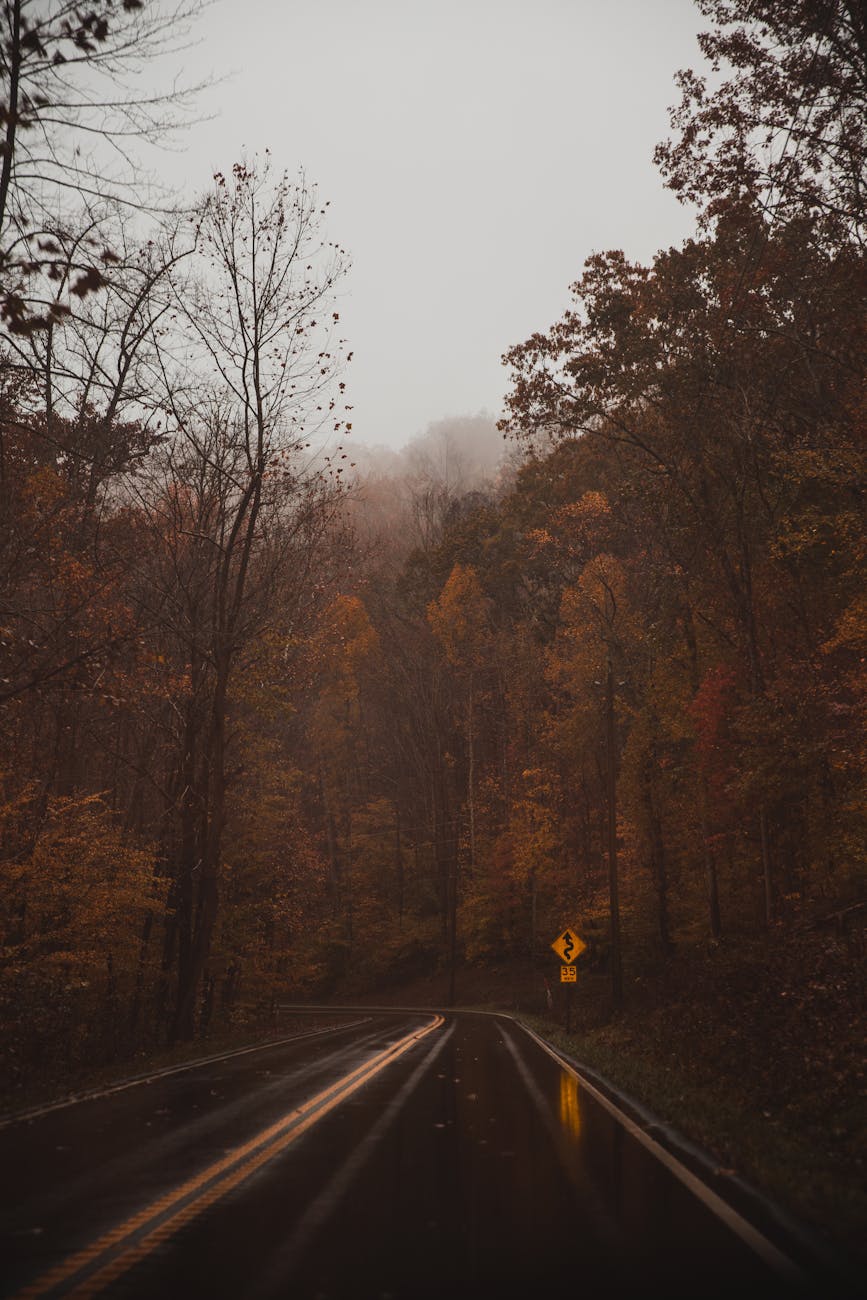 A misty autumn drive through the Smoky Mountains with vibrant fall foliage.