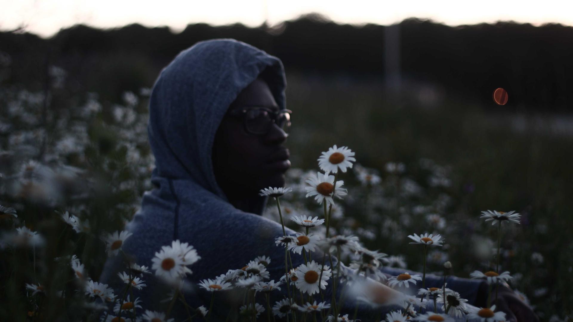 Random image from Lorem Picsum