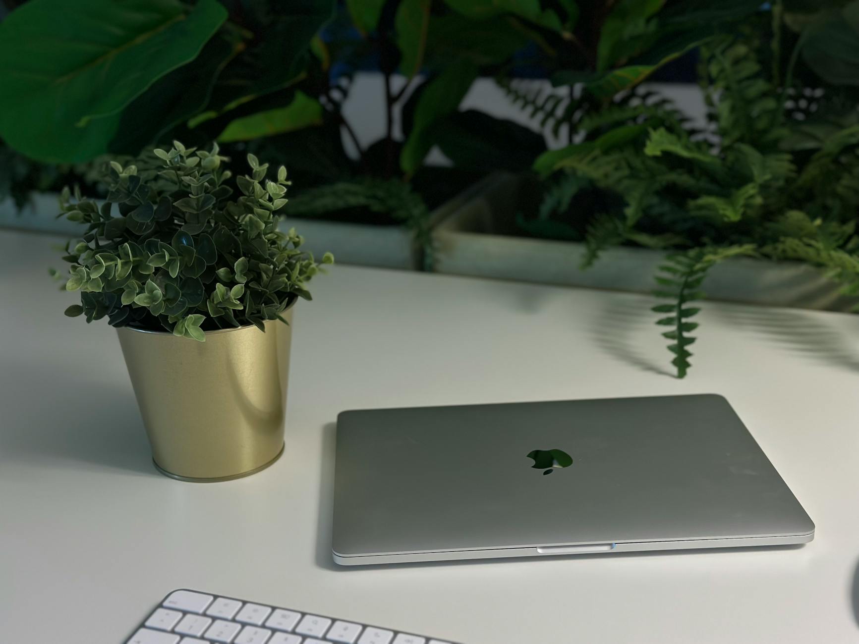 A clean and modern workspace featuring a laptop, keyboard, and potted plant on a white desk with green foliage.