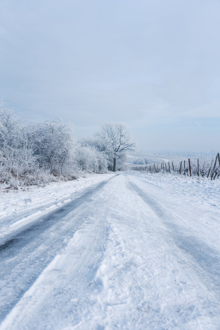 A serene snow-covered road in Oestrich-Winkel, Germany, surrounded by frosty trees and vineyards in winter.