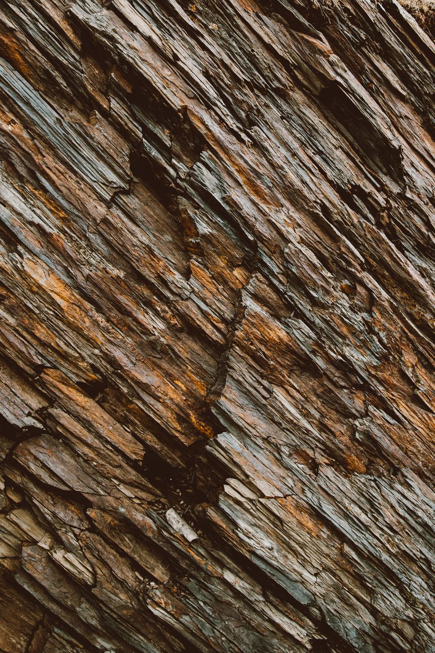A detailed close-up of a rugged and textured tree bark surface, showcasing nature's patterns.