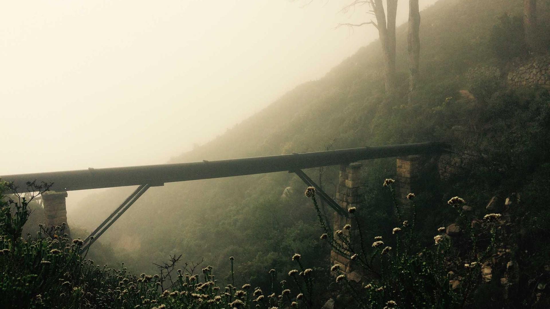 Random image from Lorem Picsum