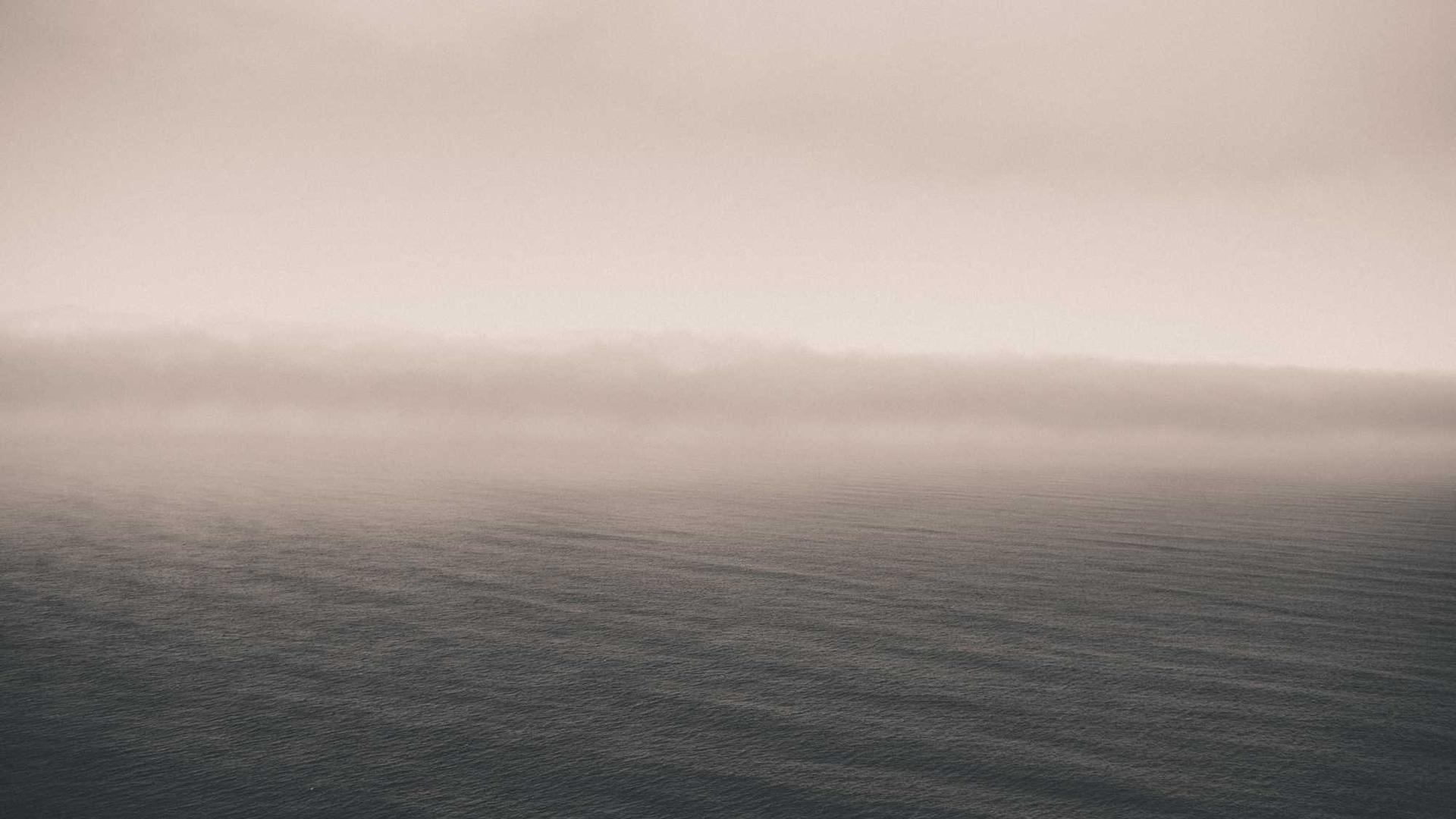 Random image from Lorem Picsum