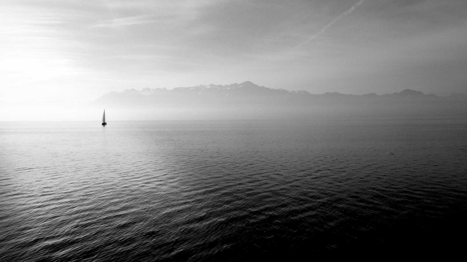 Random image from Lorem Picsum