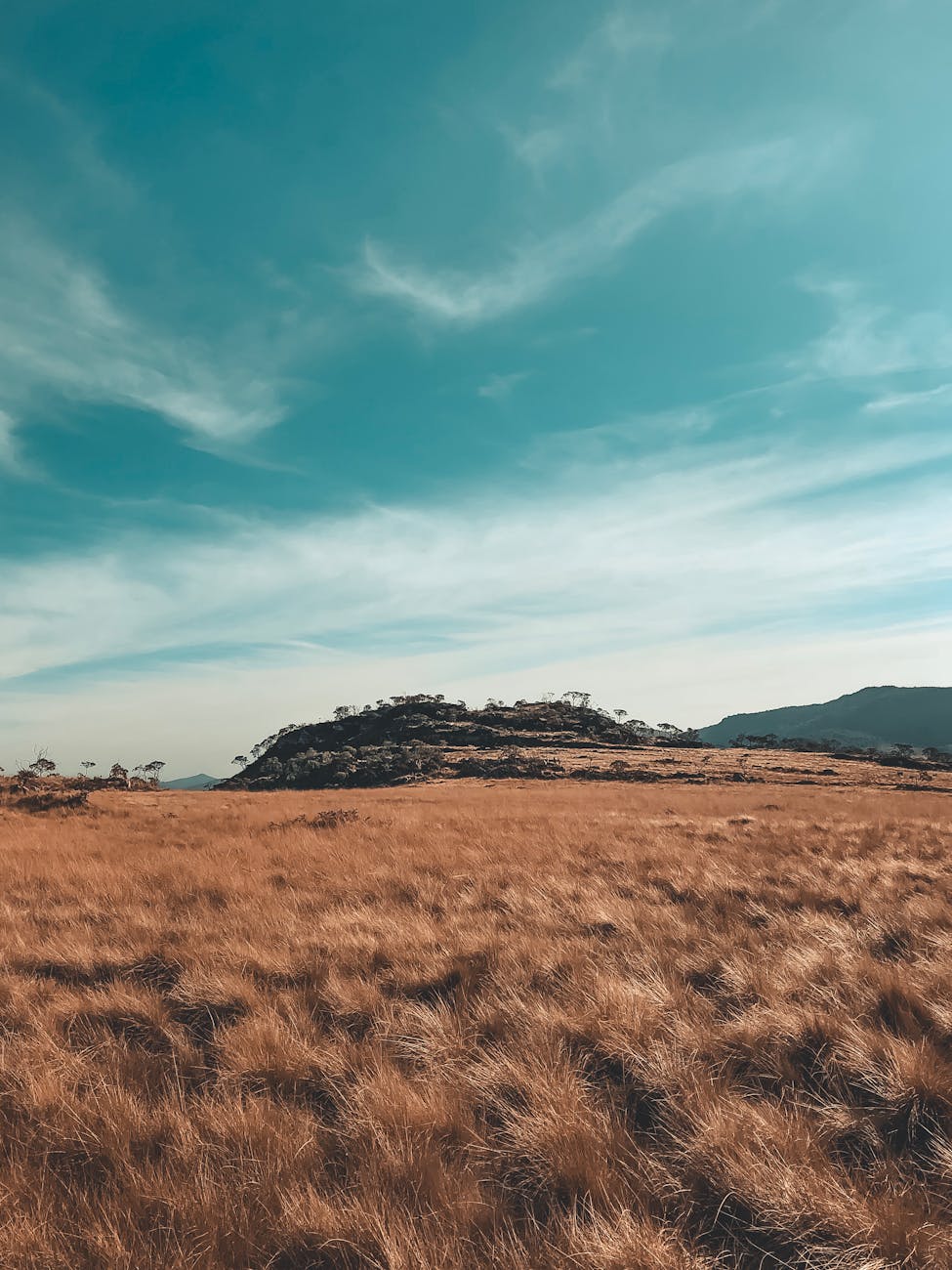 Serene countryside scene in Cruzília, Brazil with golden grasses and blue sky.