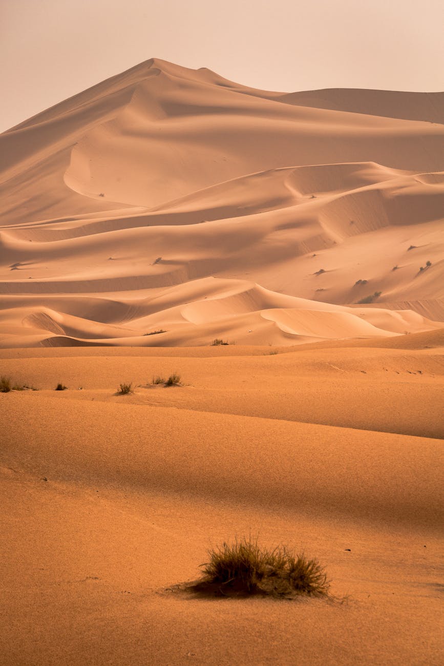 Beautifully captured sand dunes in the Sahara Desert, showcasing the vast arid landscape.