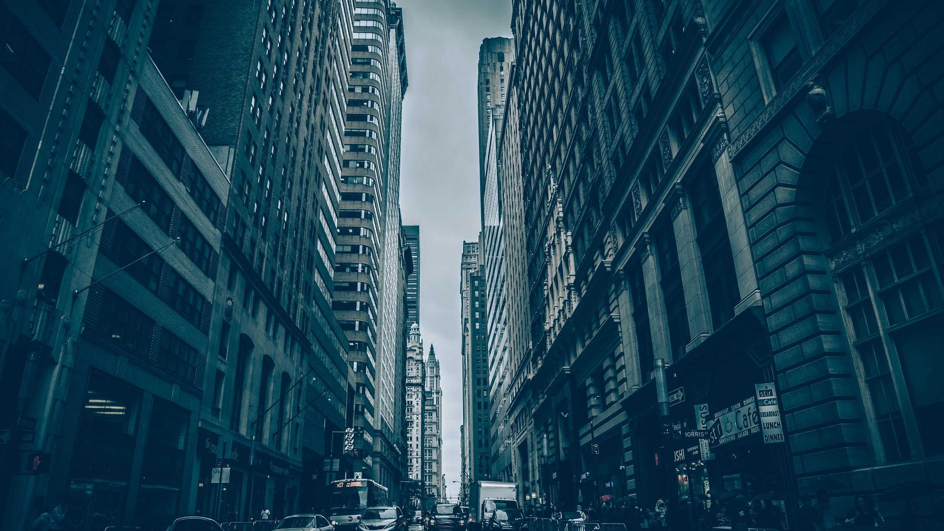 Random image from Lorem Picsum