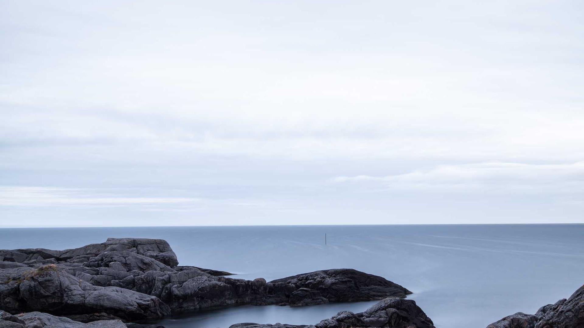 Random image from Lorem Picsum