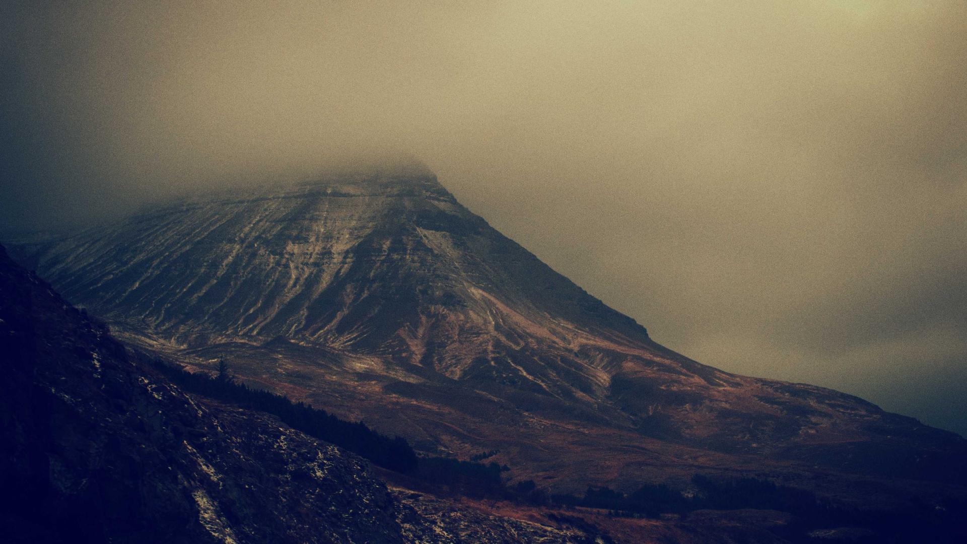 Random image from Lorem Picsum