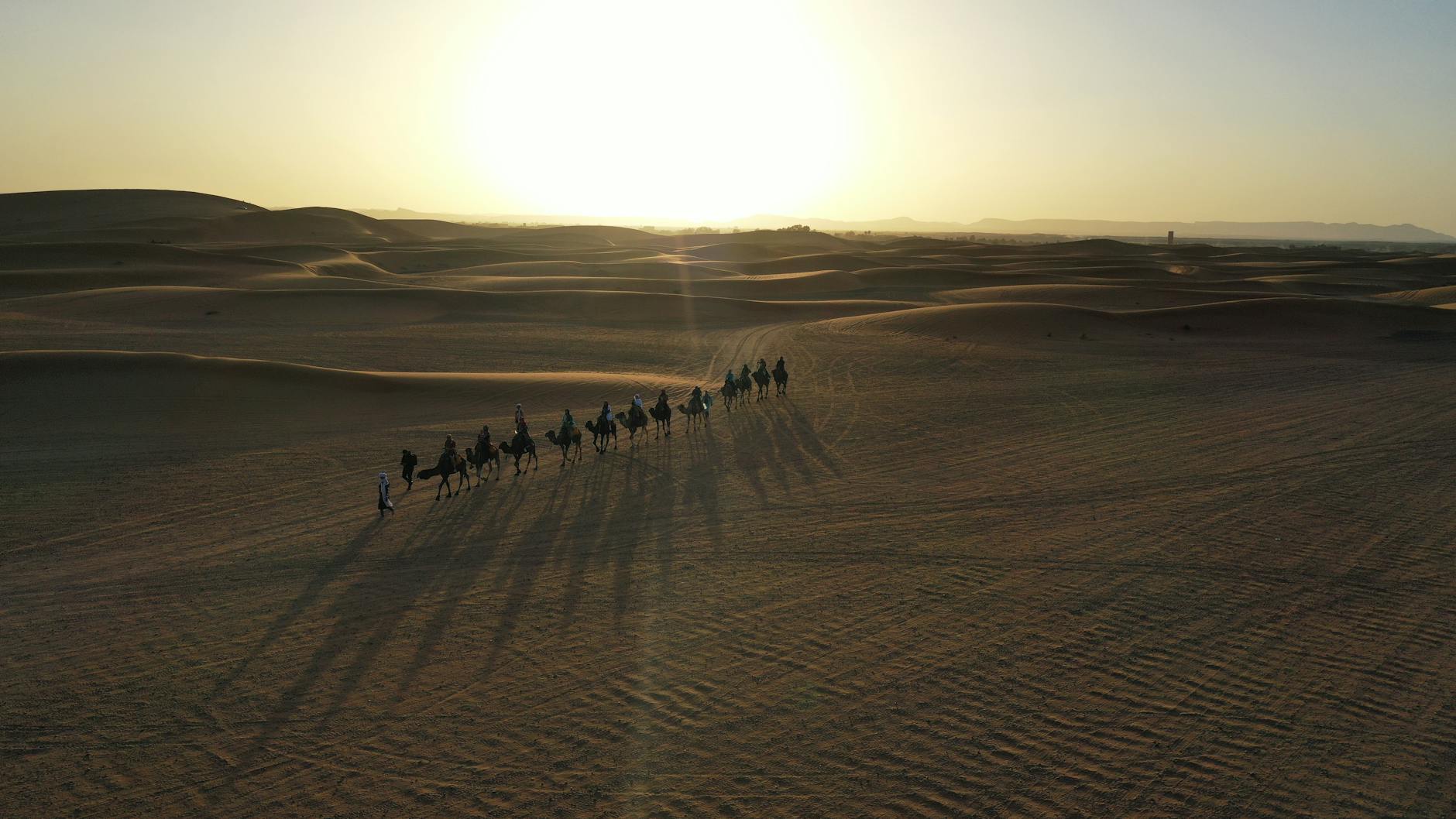 A stunning aerial view of a camel caravan crossing the Moroccan desert at sunset.