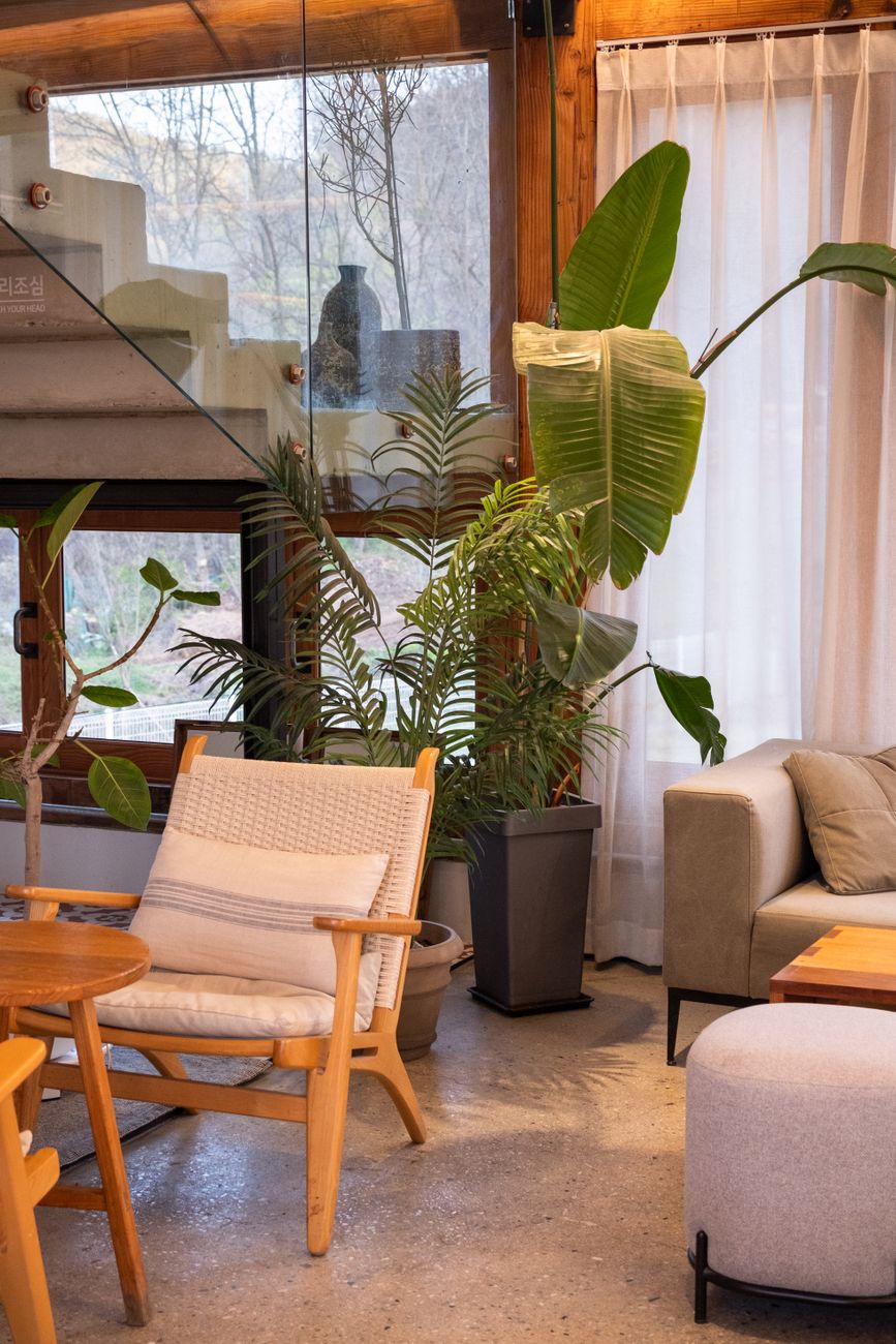 A stylish minimalist living area with plants, sofa, and chairs.