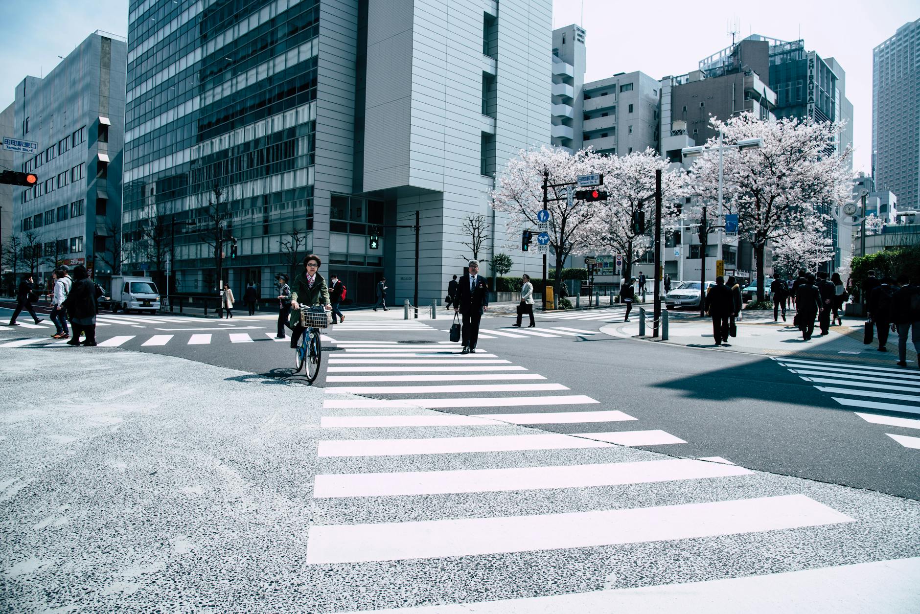 Pedestrians crossing a busy intersection in Nagawa, Japan with cherry blossoms and modern architecture.