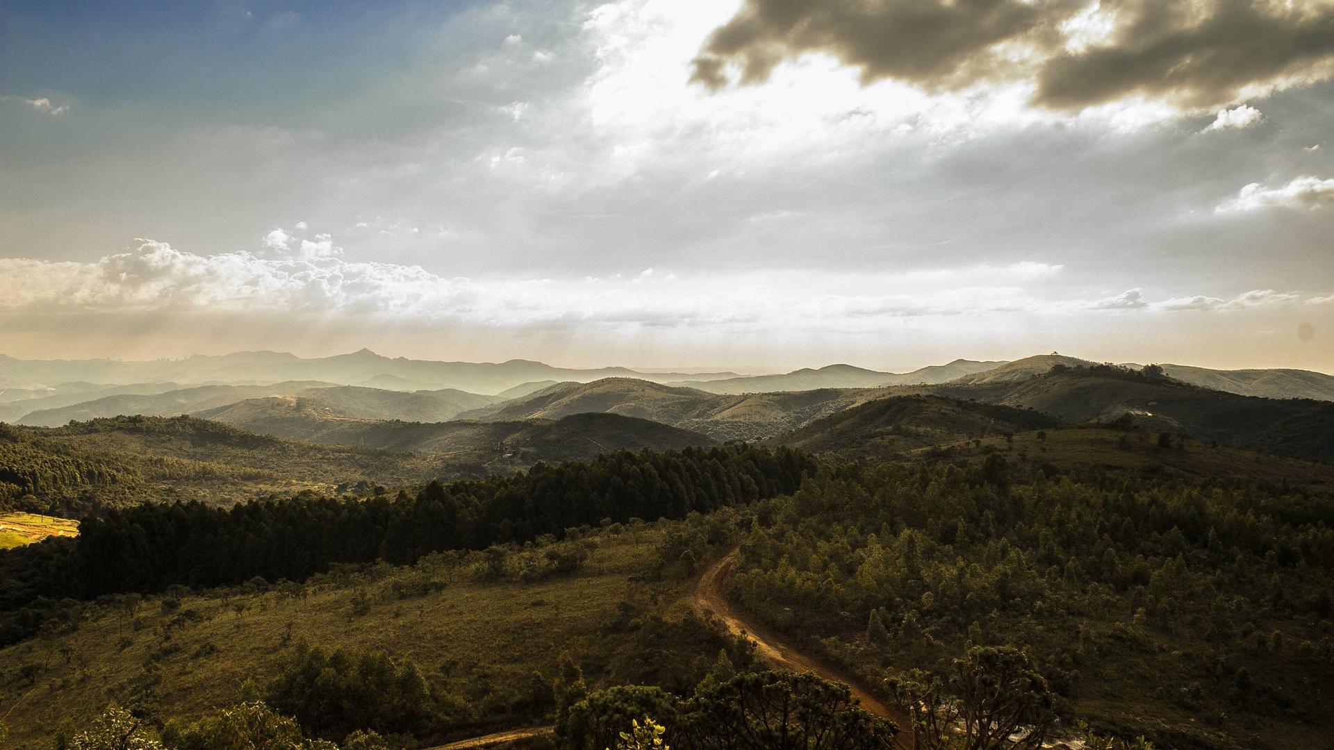 Random image from Lorem Picsum