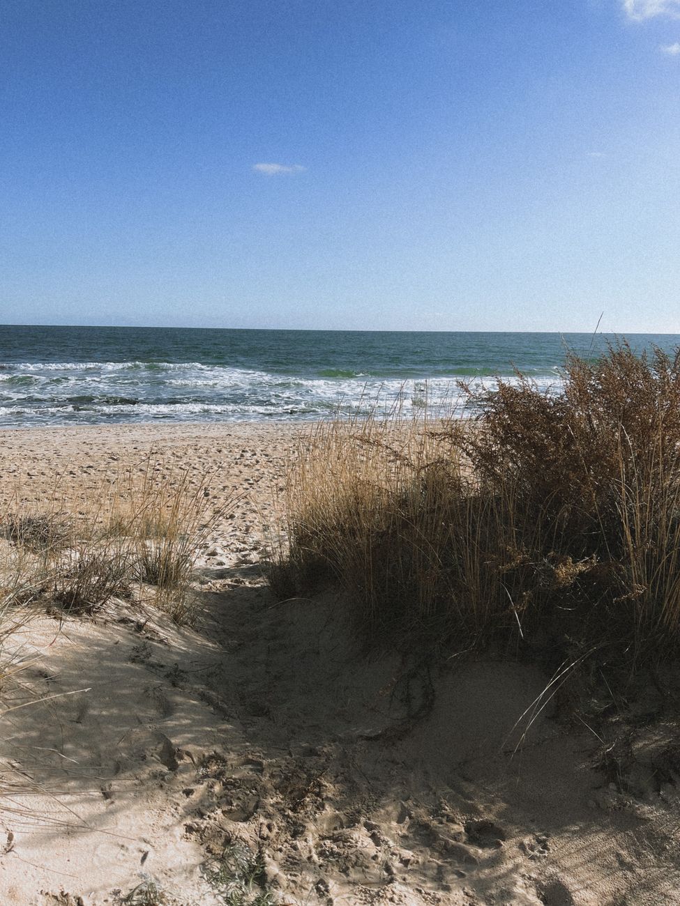 Beautiful sandy beach with waves and grass in Zatoka, Odessa Oblast, Ukraine.