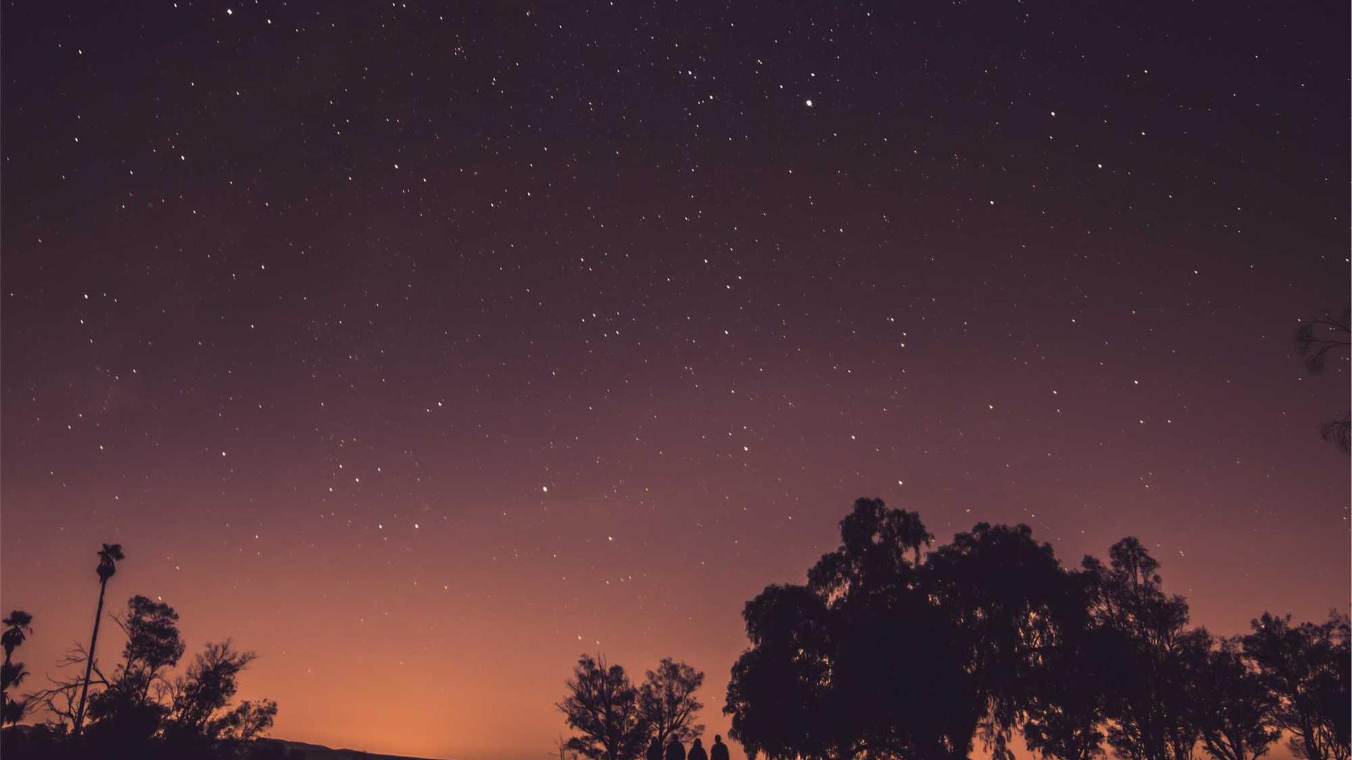 Random image from Lorem Picsum