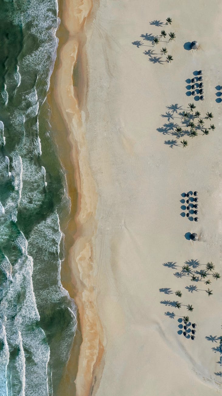 Explore the stunning aerial view of a sandy beach in Vietnam with umbrellas and palm trees.