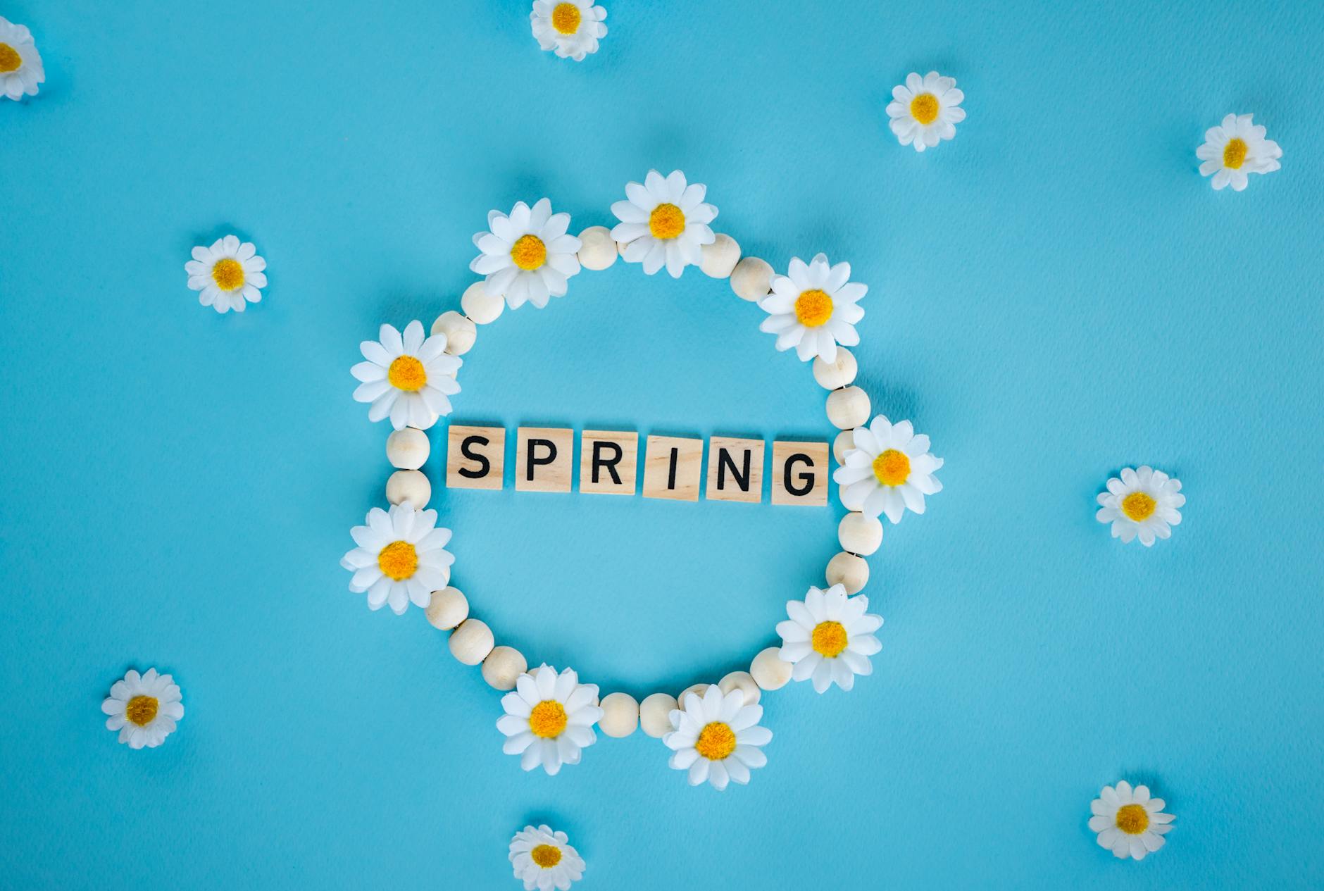 Daisy flower circle on blue backdrop spelling SPRING, perfect for seasonal themes.