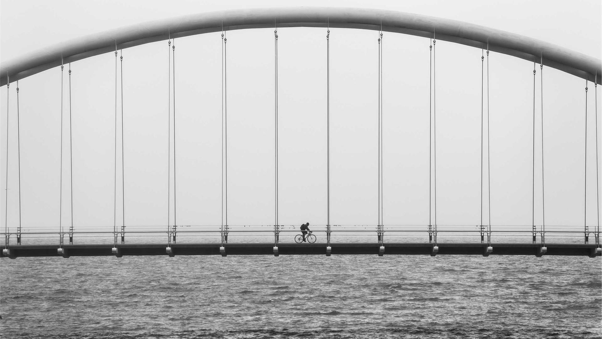 Random image from Lorem Picsum