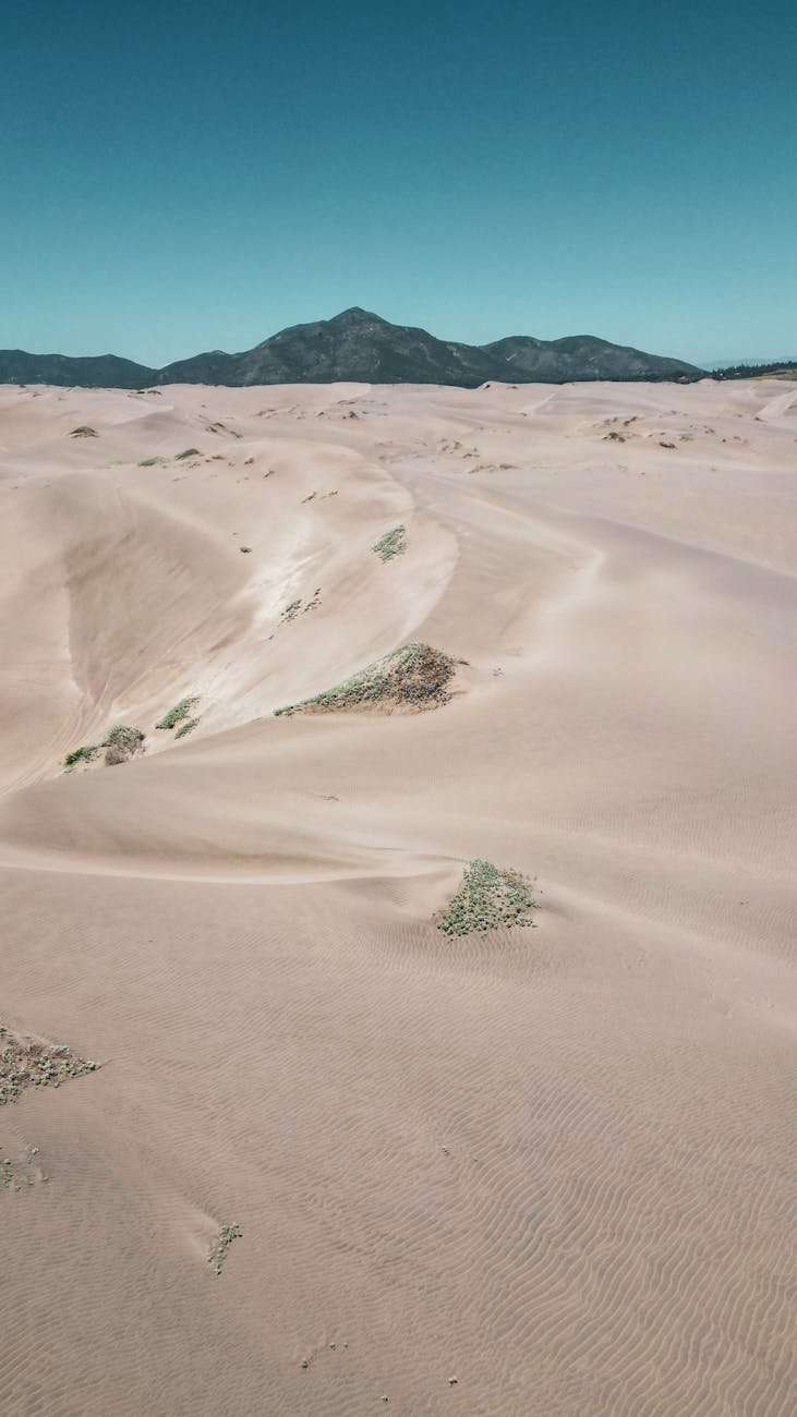 Vast desert scene with dunes and distant mountains under a clear blue sky, showcasing natural beauty.