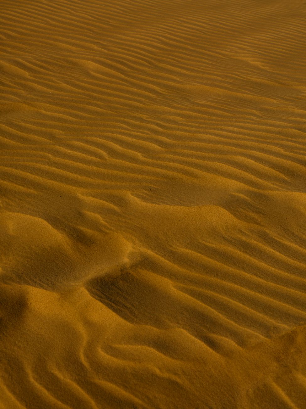 Close-up of patterned sand ripples in the Doha desert, showcasing natural textures.