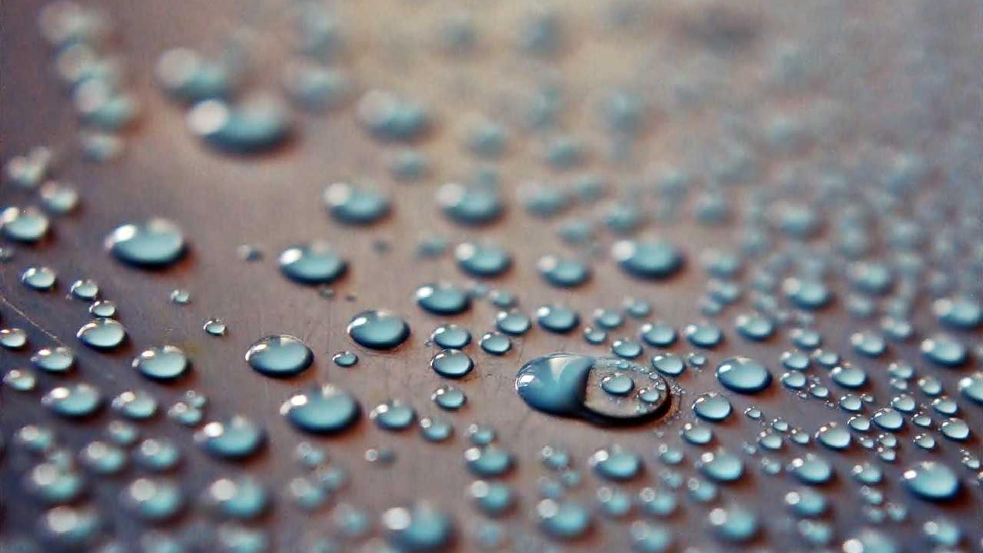 Random image from Lorem Picsum