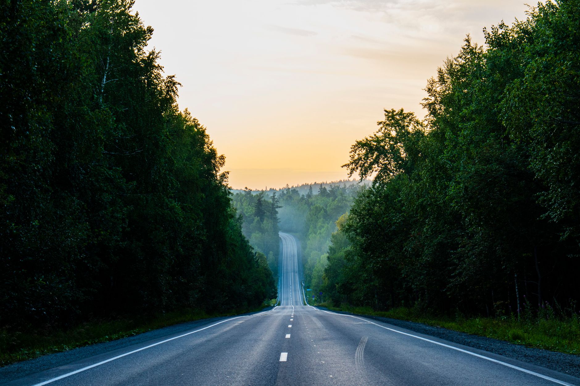 Beautiful asphalt road in a misty green forest during a sunset. Ideal for travel and nature themes.