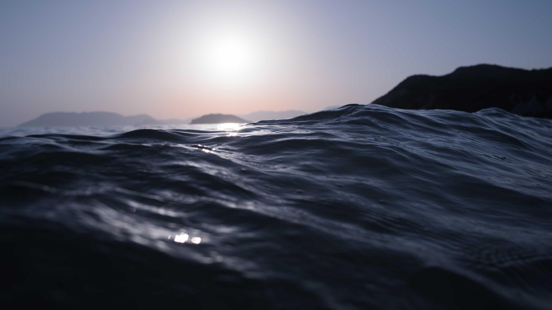 Random image from Lorem Picsum