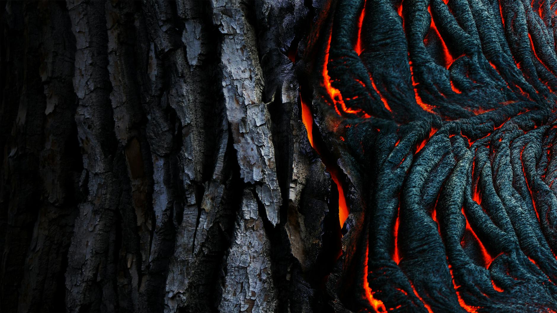 Vivid abstract of glowing lava texture against dark tree bark. Perfect for nature-themed designs.
