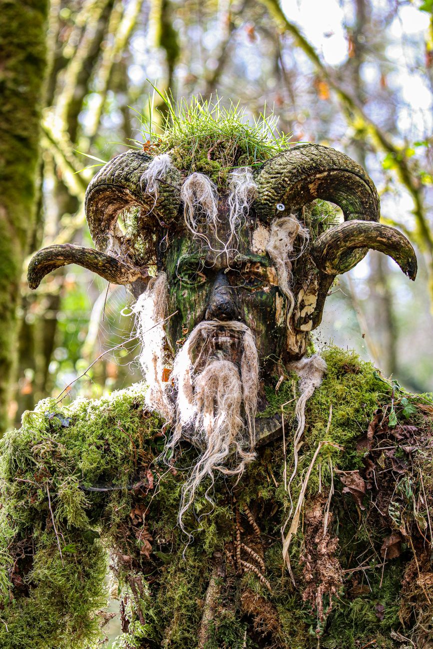 A mysterious moss-covered creature with horns blends into the forest surroundings.
