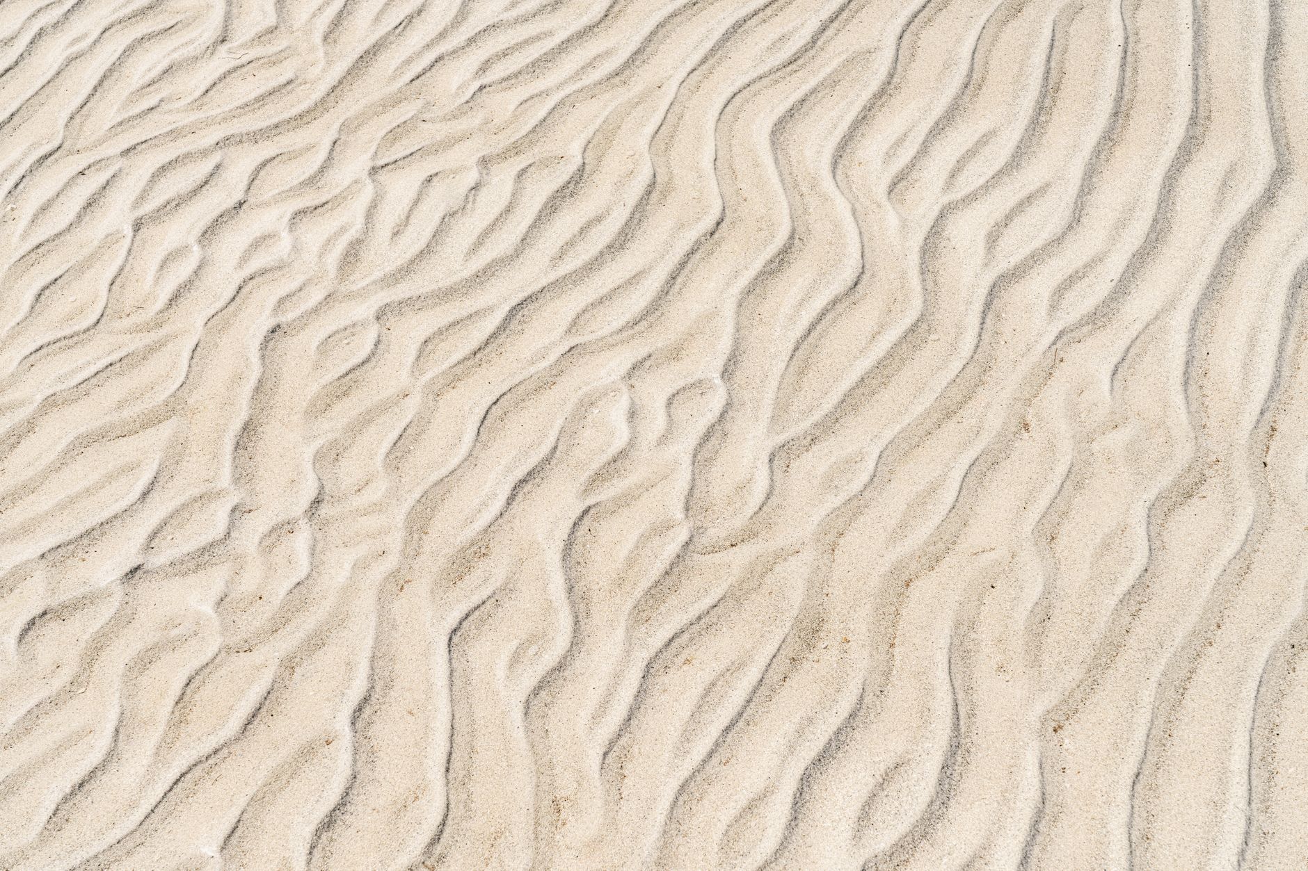High-resolution image of ripple patterns in arid desert sand showing texture and natural patterns.