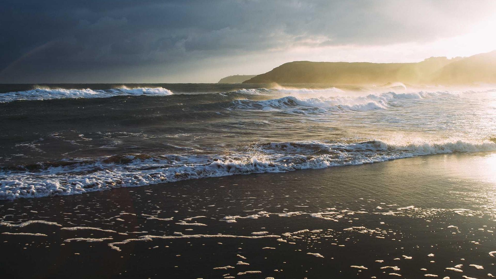 Random image from Lorem Picsum