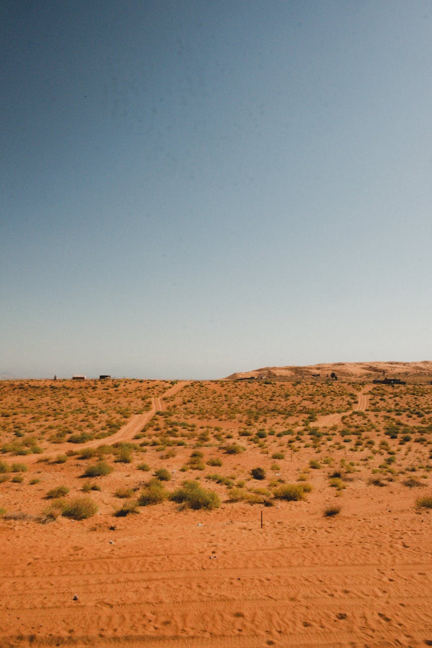 Golden sand dunes stretching under a clear sky in Bidiyah, Oman.