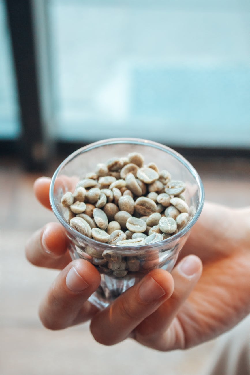 A close-up shot of unroasted coffee beans in a glass held by a hand in a café setting.